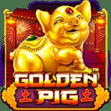 Golden Pig